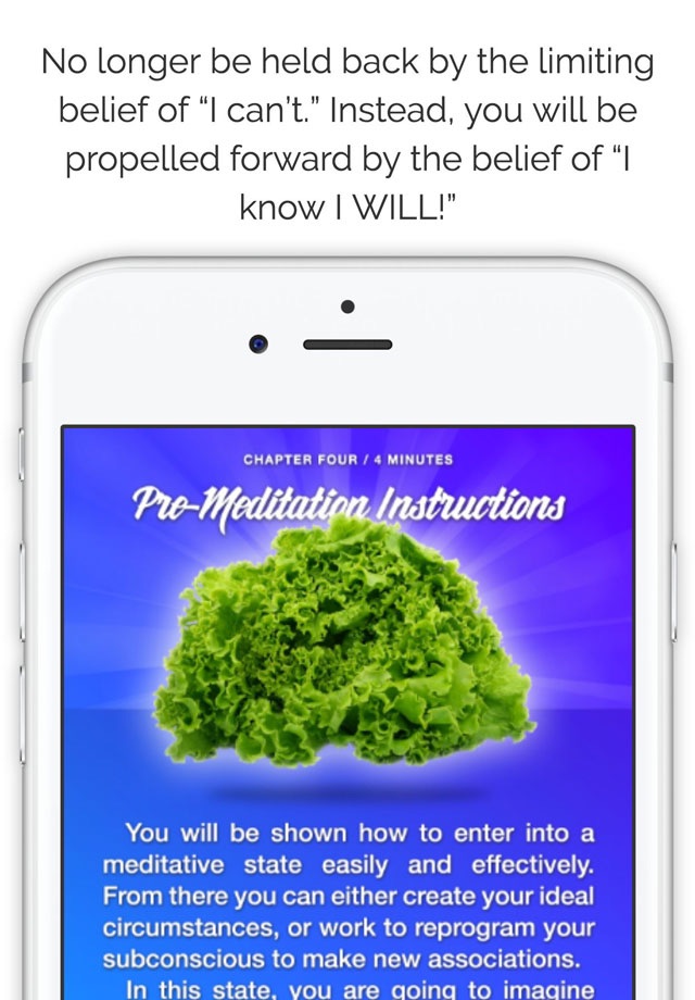 Meditation Diet screenshot 4