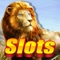 Lion Slots - Luxury casino party free Vegas Slot Machine Games for grand jackpot Serengeti PRO!