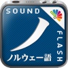 サウンドフラッシュ-ノルウェー語と日本語を交互に再生、登録できる音声フラッシュカード