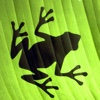 青蛙跳星球-不甘平凡的青蛙,在各个星球之间来往跳跃