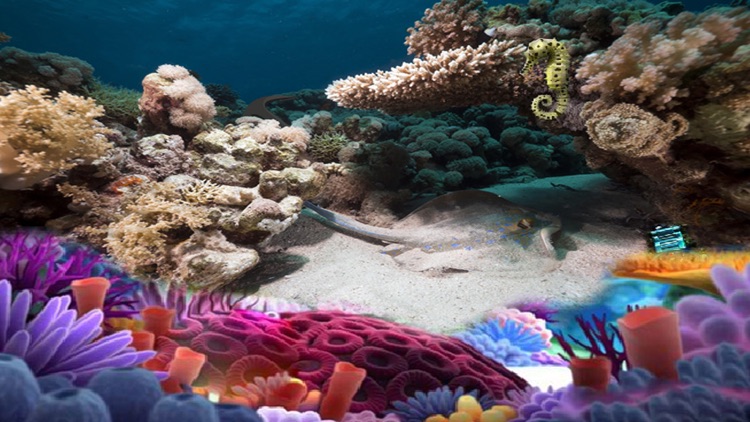 UnderWater Airplane Escape