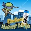 Teenage Mutant Ninja Turtles Endless edition