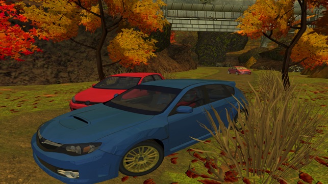 3D Mountain Rally Racing - eXtreme Real Dirt Road Driving Si(圖1)-速報App