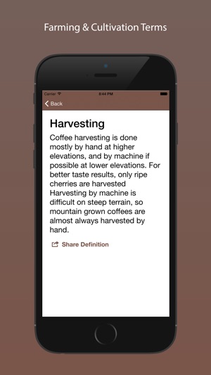 Barista Coffee Glossary: A Comprehensive Cafe Dictionary(圖5)-速報App