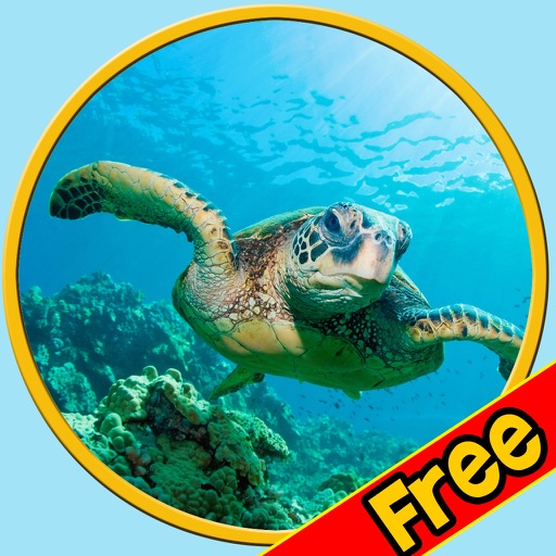 amazing turtles for kids - free icon
