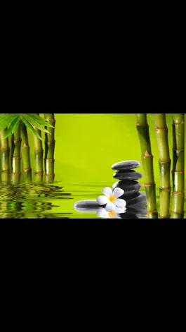 Game screenshot Meditation Music Video apk