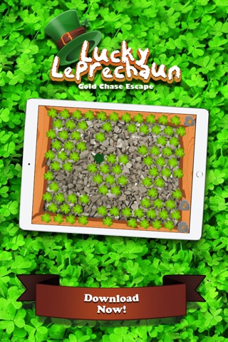 Lucky Leprechaun Gold Chase Escape Pro screenshot 3