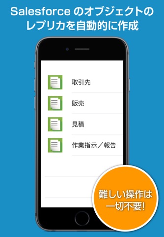 Apps Mobile Entry (Salseforce) screenshot 2
