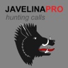 REAL Javelina Calls -- Javelina Sounds to use as Hunting Calls