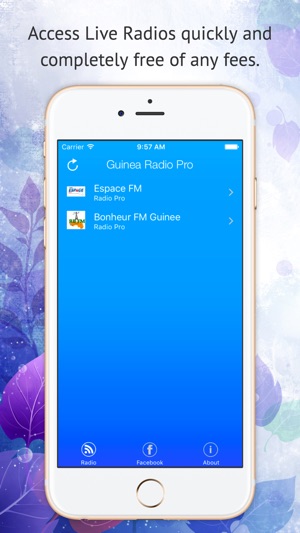 Guinea Radio Pro(圖1)-速報App
