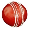 Rolling Cricket Ball