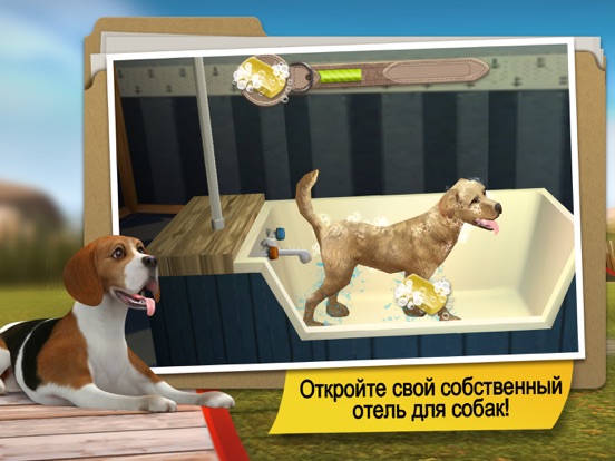DogHotel Premium - Мой отель для лабрадоров для iPad