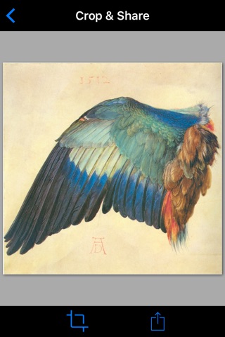 Albrecht Dürer's Art screenshot 3