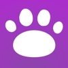 Cat Dog Leaderboard - Popular Dog & Cat Pics At The Moment