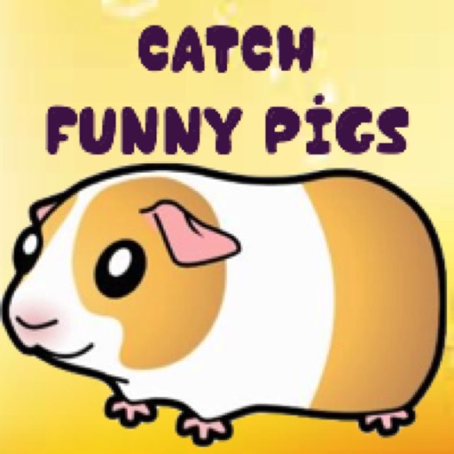 Catch Funny Pigs Icon