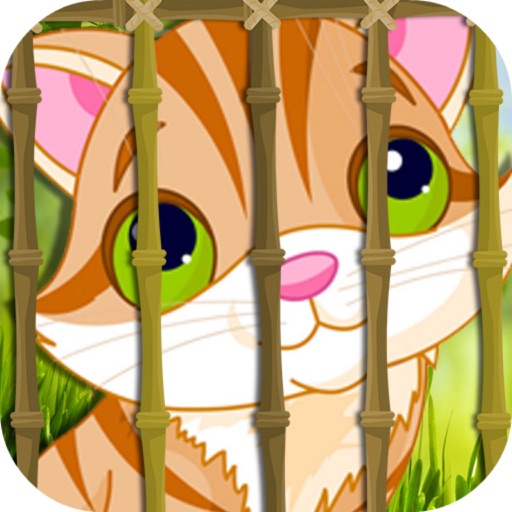 Cat Wood House Escape - Jungle Lost/Mystery Runner Icon
