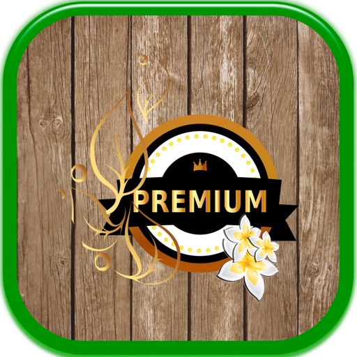 Casino Premium House - Gambling Machines icon