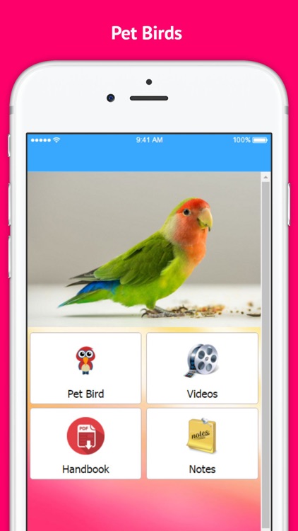 Pet Bird & Breeds - Foreign Birds