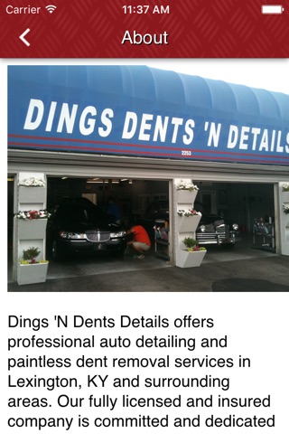 Dings Dents and Details screenshot 3