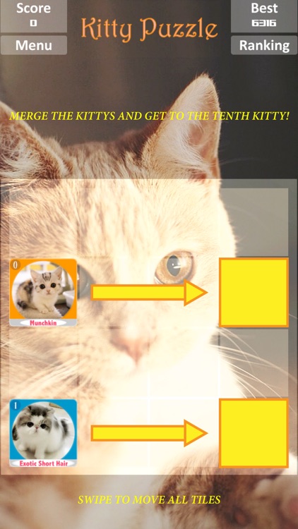 Merged Hex _ Cute cats party and simple type of the 2048