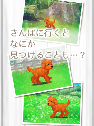 癒しの子犬育成ゲーム〜トイプードル編〜（無料）のおすすめ画像4
