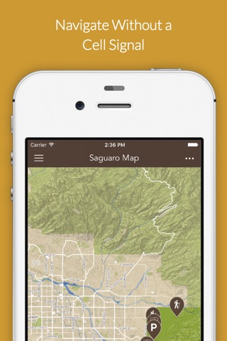 Saguaro by Chimani screenshot 2