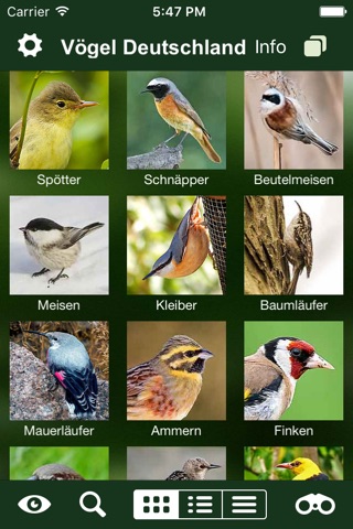 Vögel Deutschlands - ein Naturführer zum Bestimmen der heimischen Vogelarten in Garten, Wald und Wasser screenshot 2