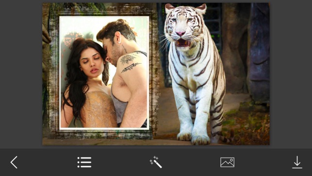 Tiger Photo Frame - Great and Fantastic Frames for your phot(圖2)-速報App