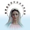 My Holy Rosary is a new app that will help you pray the Holy Rosary wherever you shall be