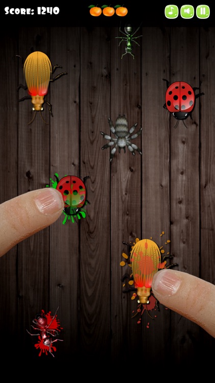 Ladybug Insect Smasher