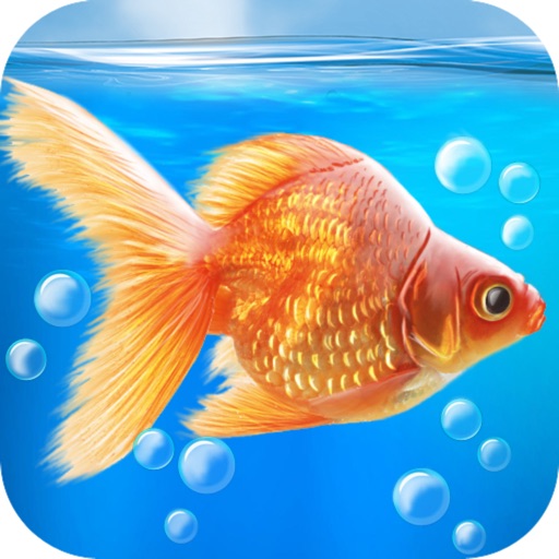 Aquarium Goldfish 3D Icon