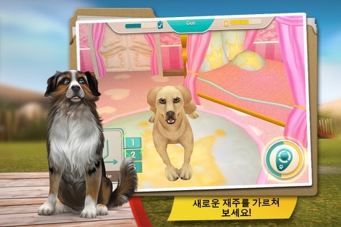 Dog Hotel - Play with dogs screenshot 3