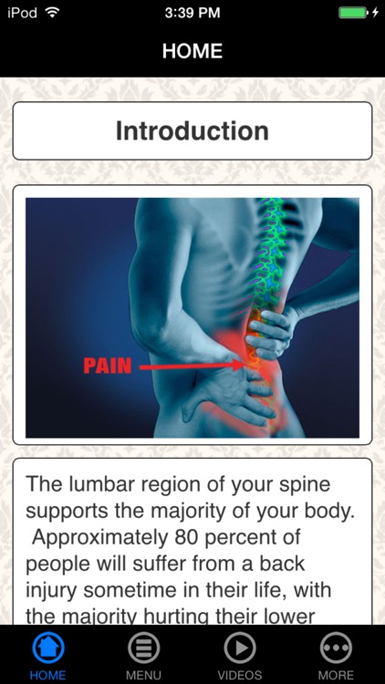 A+ How To Strengthen Lower Back - Exercise & Relieve Pain
