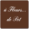 A Fleurs de Pot