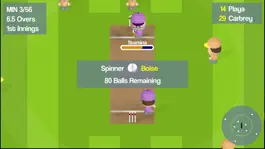 Game screenshot Smashtastic Cricket mod apk