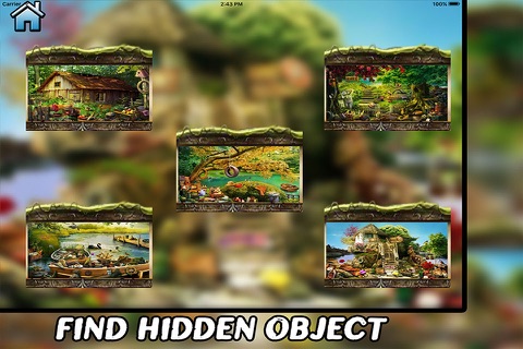 The Secret of The Lake Hidden Object screenshot 2