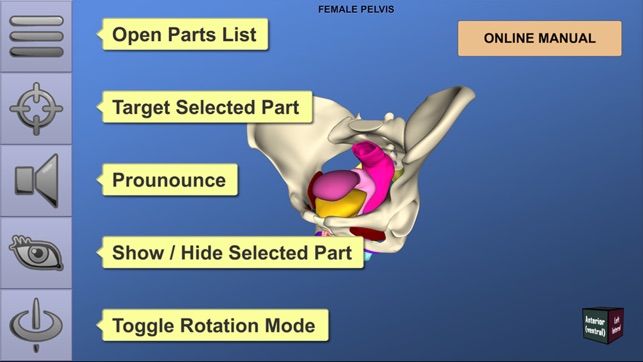 Understanding Female Pelvic Anatomy in 3D(圖2)-速報App