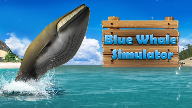 Big Blue Whale Survival 3D - Try whale simulator, be ocean animal!