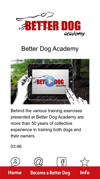 Better Dog Academy