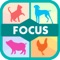 Focus Pet ! - Can You See Them Change?