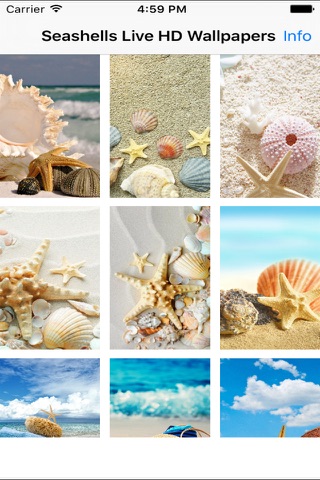Seashells Live Wallpaper screenshot 2