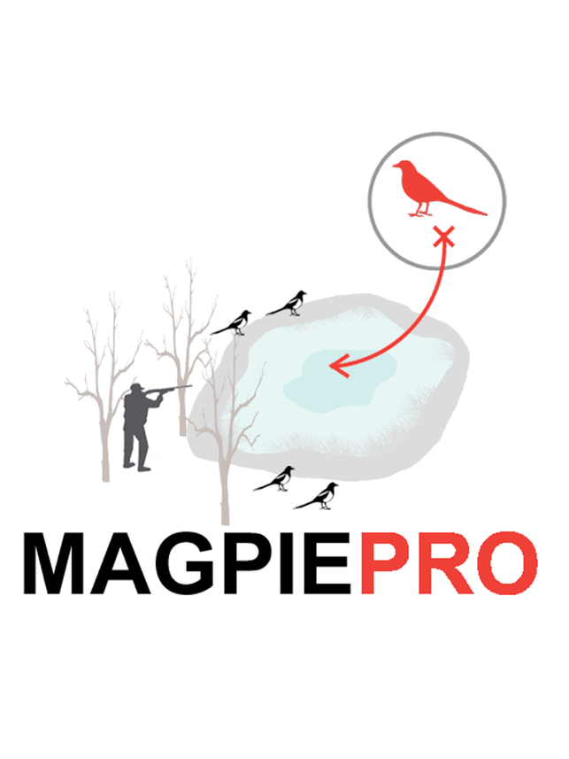 Magpie Hunting Strategy Plan Your Magpie Hunting Trip(圖1)-速報App