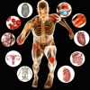 What's the Name of This Body Part: Image Quiz with Education Video
