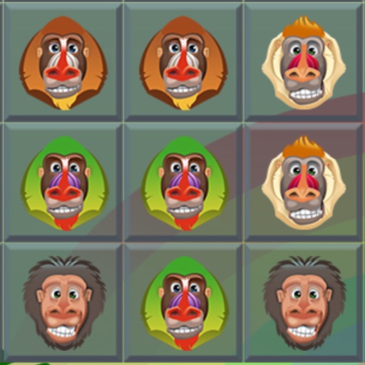 A Baboon Match Zoomy icon