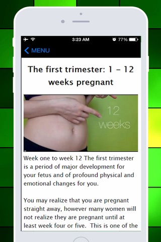 Foods Not To Eat When Pregnant - Best & Easy Foods For Pregrancy Diet Plan & Recipes screenshot 2