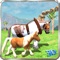 Enter into the beautiful world and live the life of a Horse and its pony