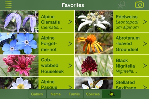 AlpineFlower Finder – Europe screenshot 4