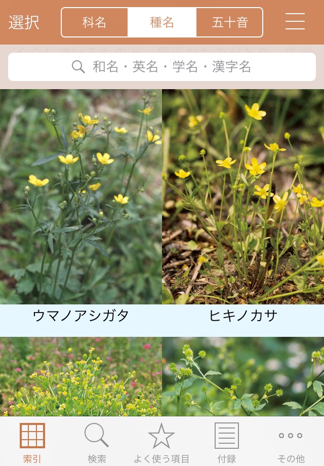野に咲く花（山溪ハンディ図鑑） screenshot 2