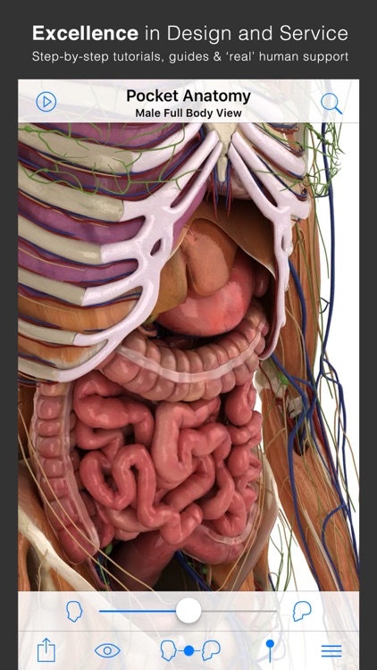 Pocket Anatomy - Interactive 3D Human Anatomy and Physiology. screenshot-4