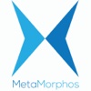 MetaMorphos_Holothuroidea